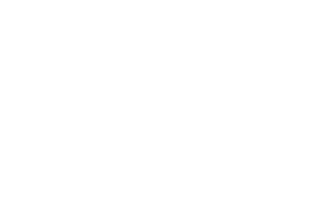 The Bourb Inn footer logo